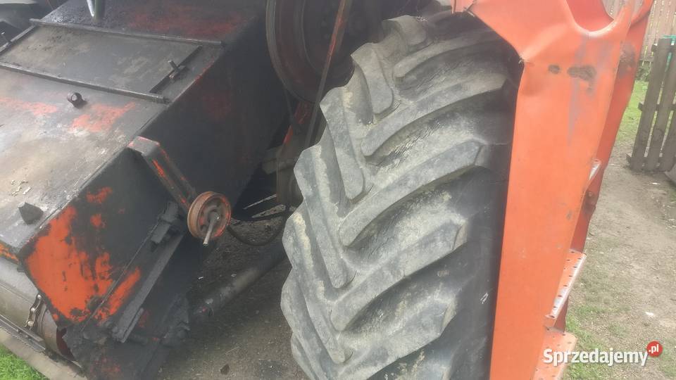 Bizon Z056 Ratoszyn Pierwszy sprzedam