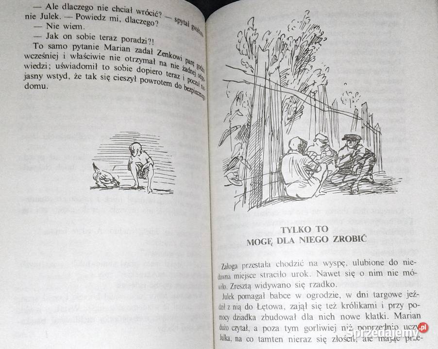 Ten obcy Irena Jurgielewiczowa Pozostałe Chełm