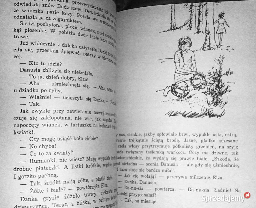 Spotkanie morzem Jadwiga Korczakowska Chełm sprzedam