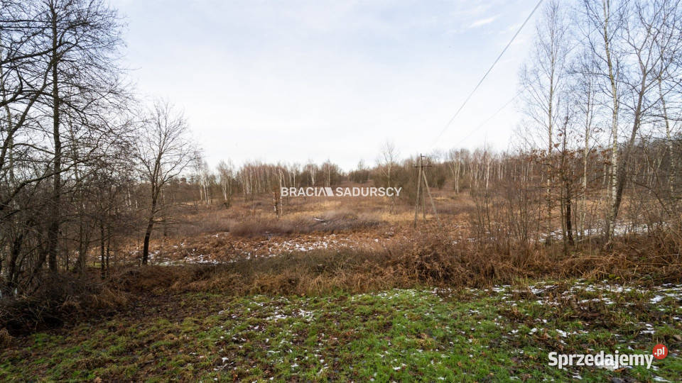 Grunt sprzedam 3296m2 Skawina Bukowska 175zł/m2 sprzedam