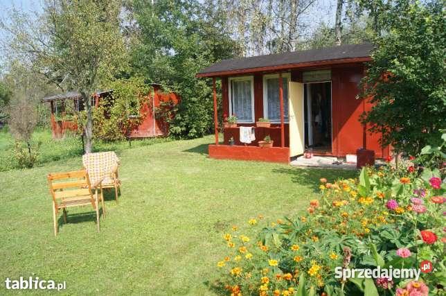 Działka rekreacyjna RODPestka Grunty i działki Nowy Dwór Mazowiecki