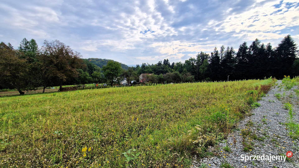 Działka 1204m2 Izdebnik