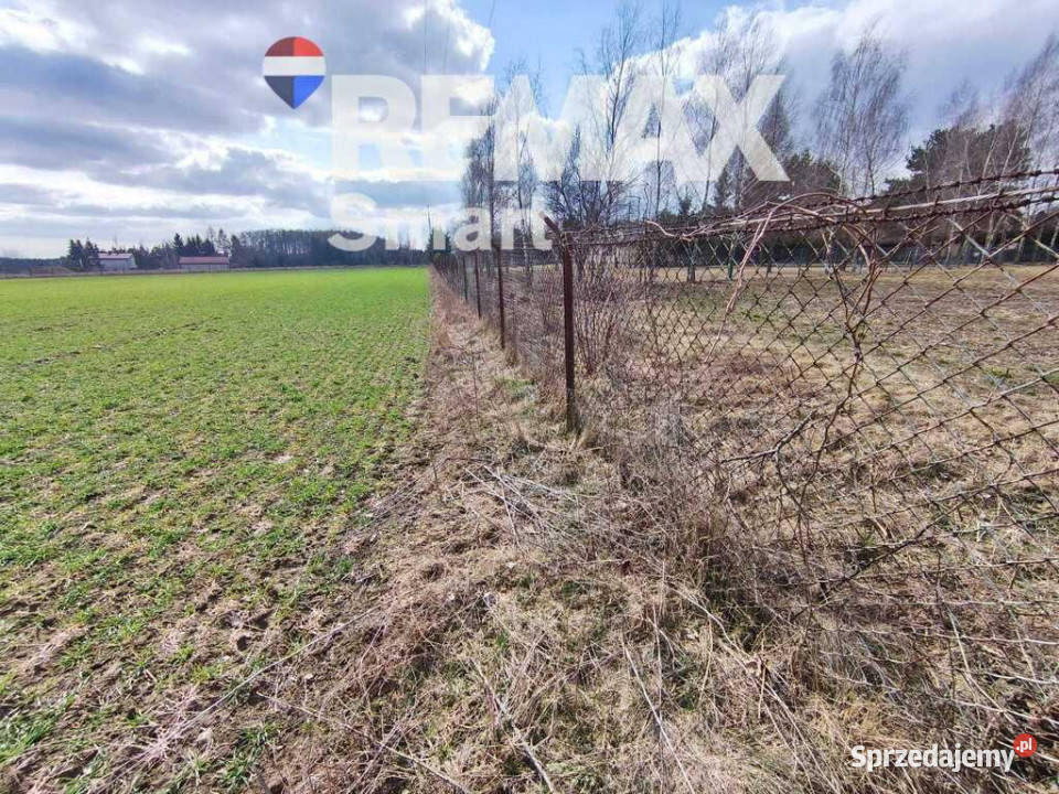 Działka budowlana w pobliżu Płocka Sprzedaż Miszewko Strzałkowskie