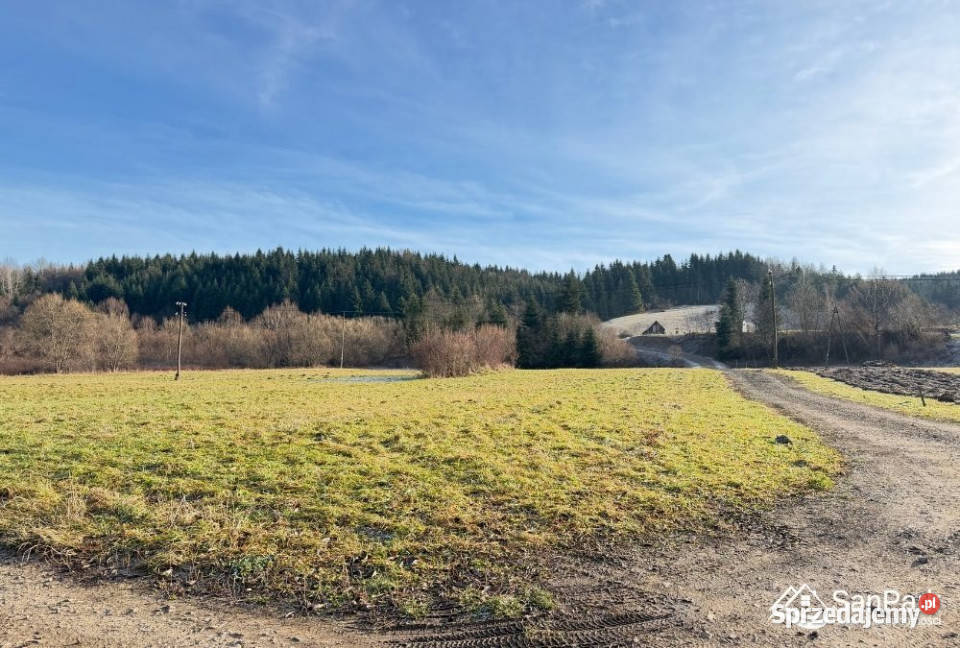 Sprzedam działka 3152m2 Zahoczewie sprzedam