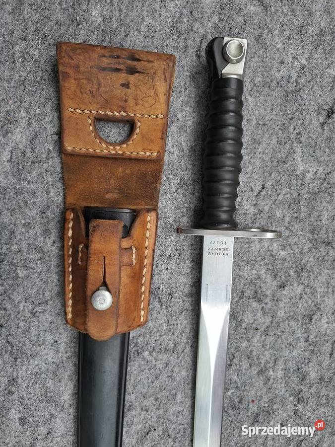 Bagnet Szwajcarski SIG 57 Victoria Schwyz z świętokrzyskie