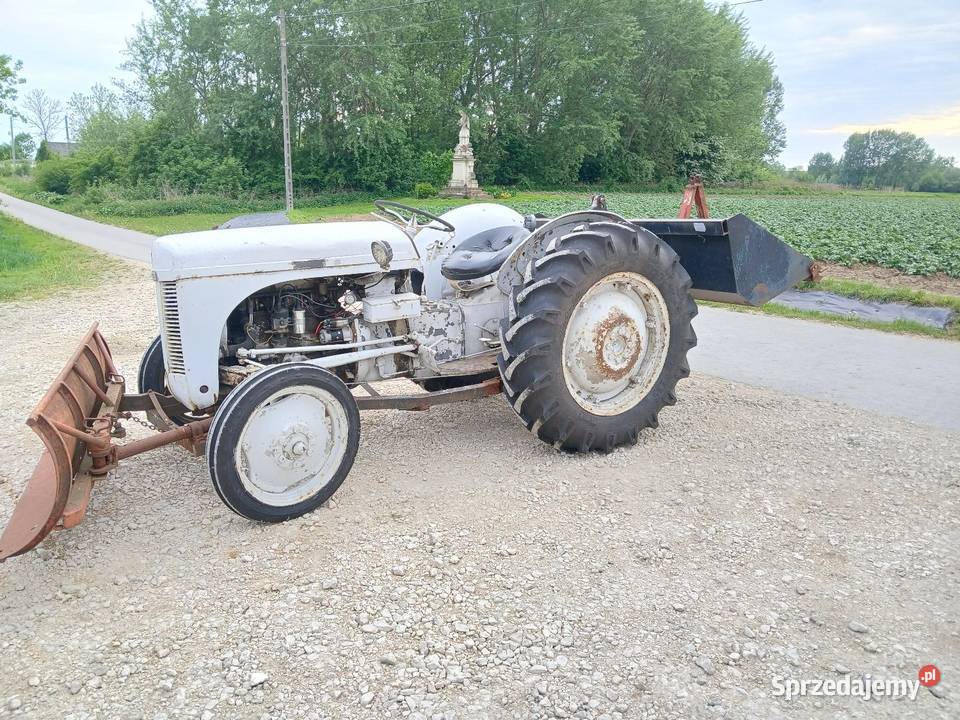 Ciągnik Mf Ta 20 ładny Massey Ferguson Nowy Korczyn