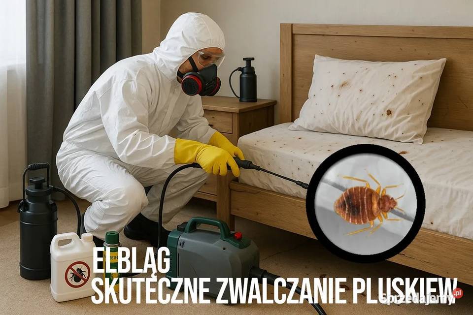 Zwalczanie pluskiew Elbląg Odpluskwianie Olsztyn