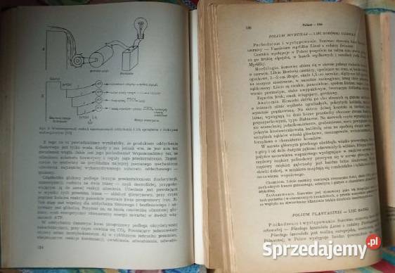 Zarys mikrobiologii farmaceutów Zarys