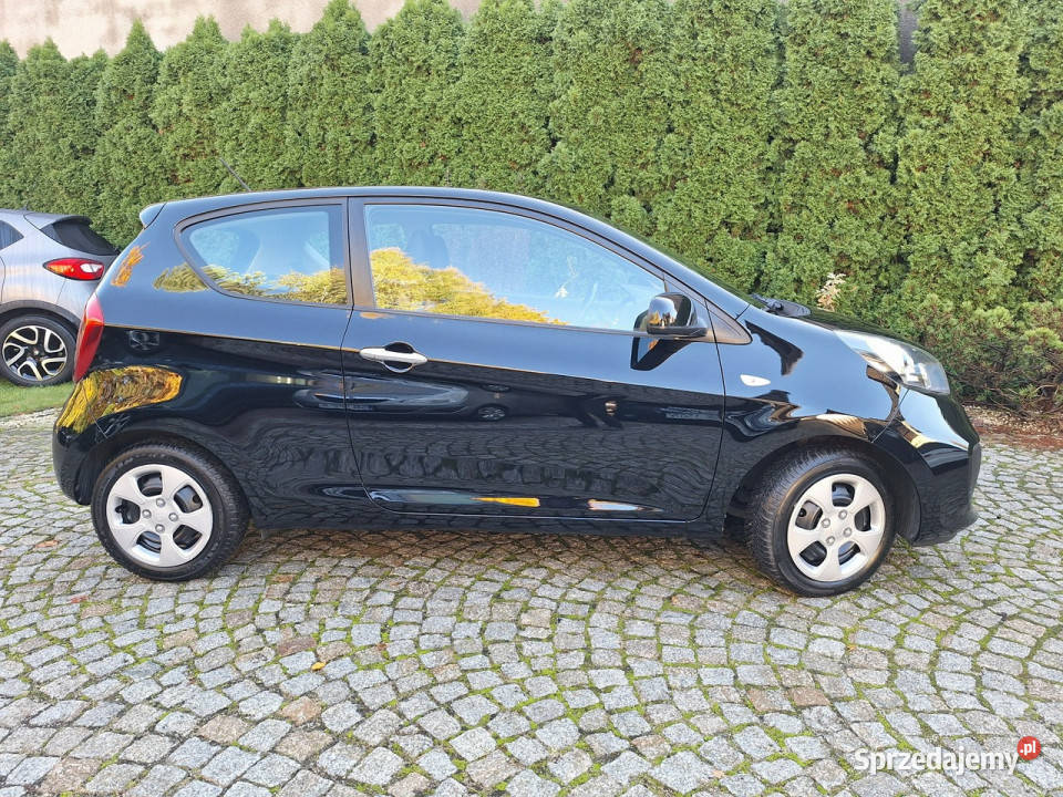 Kia Picanto 10 FIFA World Cup Edition II 2011 998cm3 Siewierz