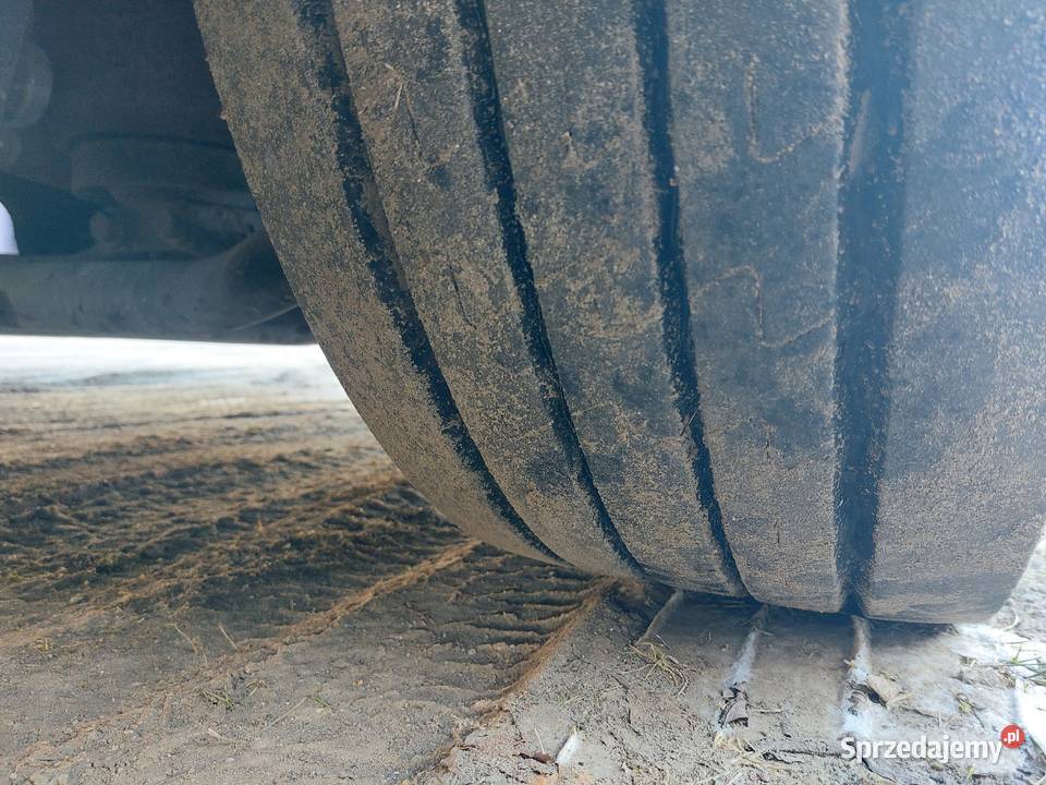 DAF XF 106 BDF JUMBO Mieszkowice