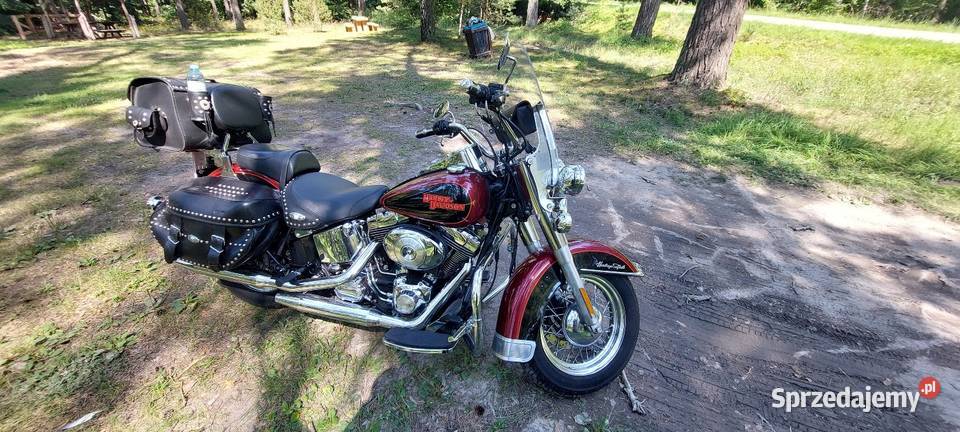 Motocykl Harley Davidson Softail Harley-Davidson Nowy Dwór