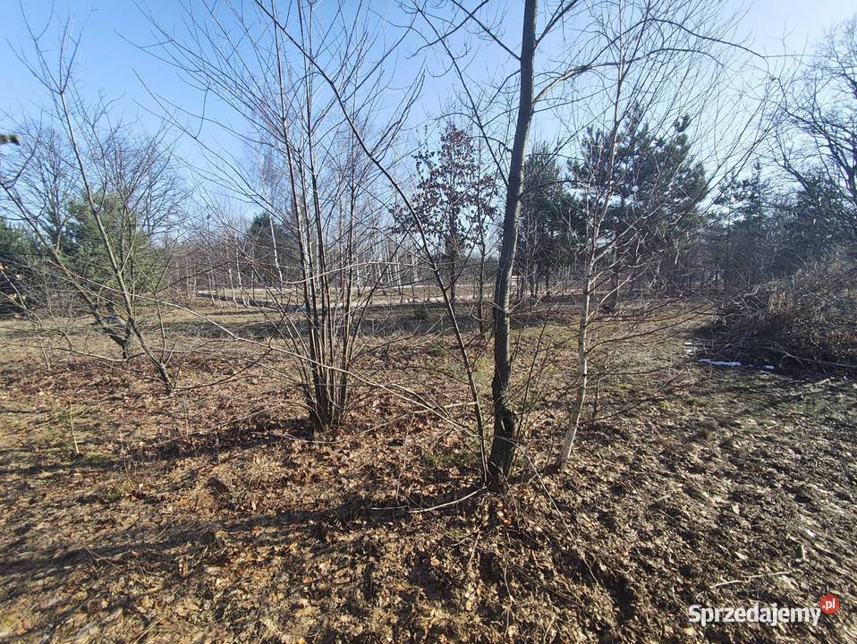 Działka w Sulejówku 1700m2 mazowieckie Sulejówek