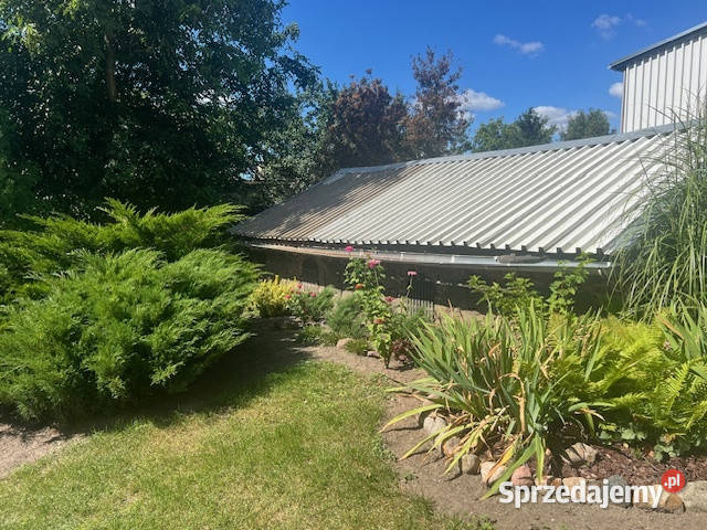 Syndyk sprzeda udział w wysokości 14 Kłodowo