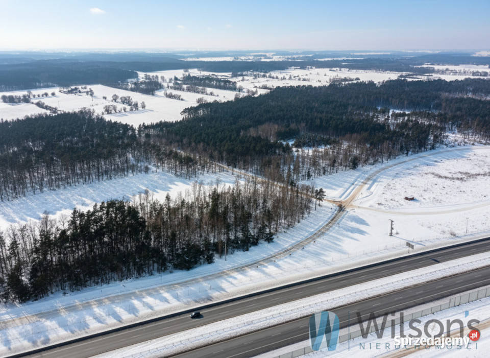 sprzedaży działki Śródborze 128499m2