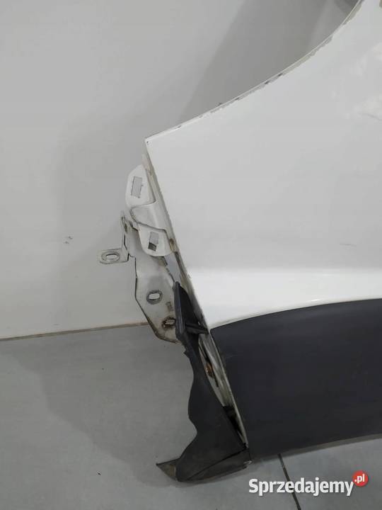 BŁOTNIK LEWY PRZÓD BIAŁY Fiat Ducato III 2007 świętokrzyskie