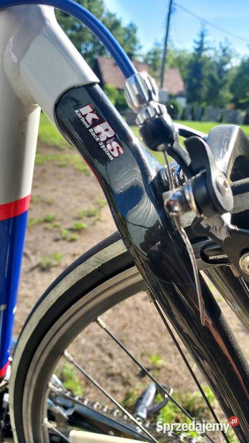 Willier La Triestina OKAZJA Warząchewka Królewska