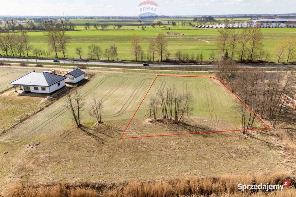 Cerekwica Osiedle Przylesie działka budowlana sprzedam