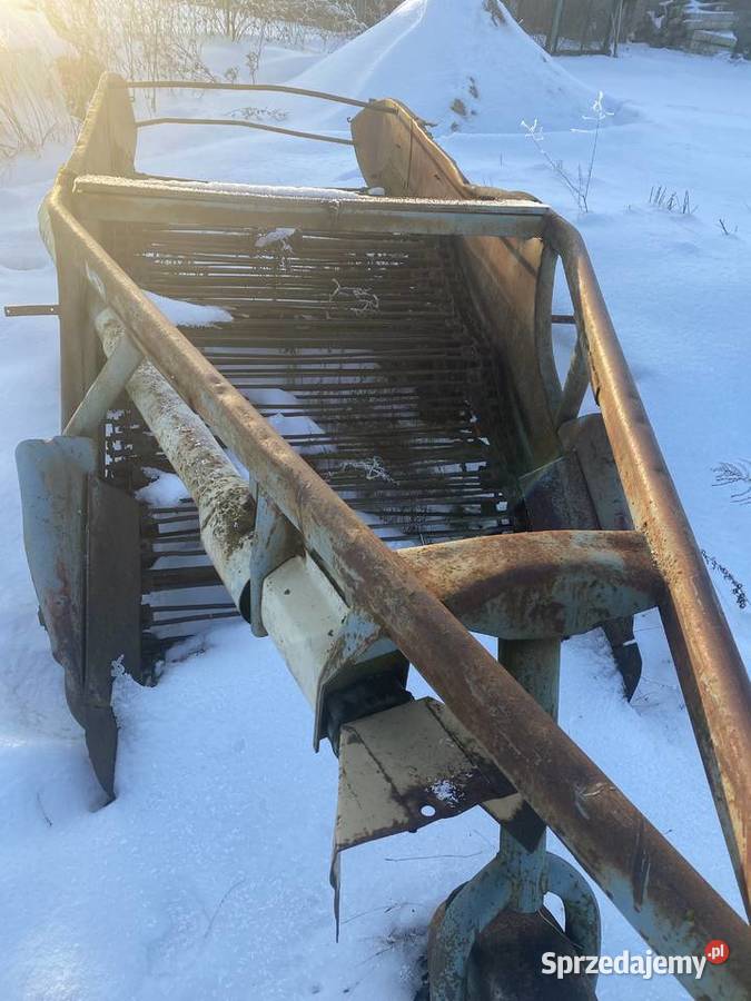 Kopaczka elewatorowa do ziemniakow pomorskie Starogard Gdański