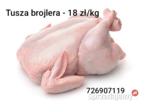 Brojler tuszka Chełmno sprzedam