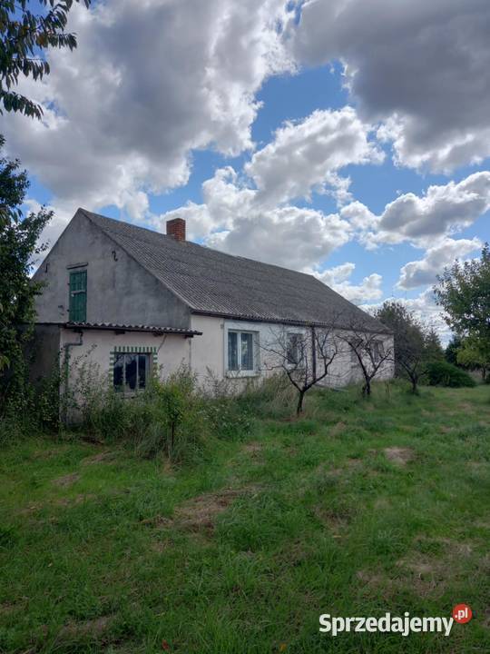 Dom 160m z działką 3700m w mieszkania Okazja 3700m2 Wysoka Krajeńska