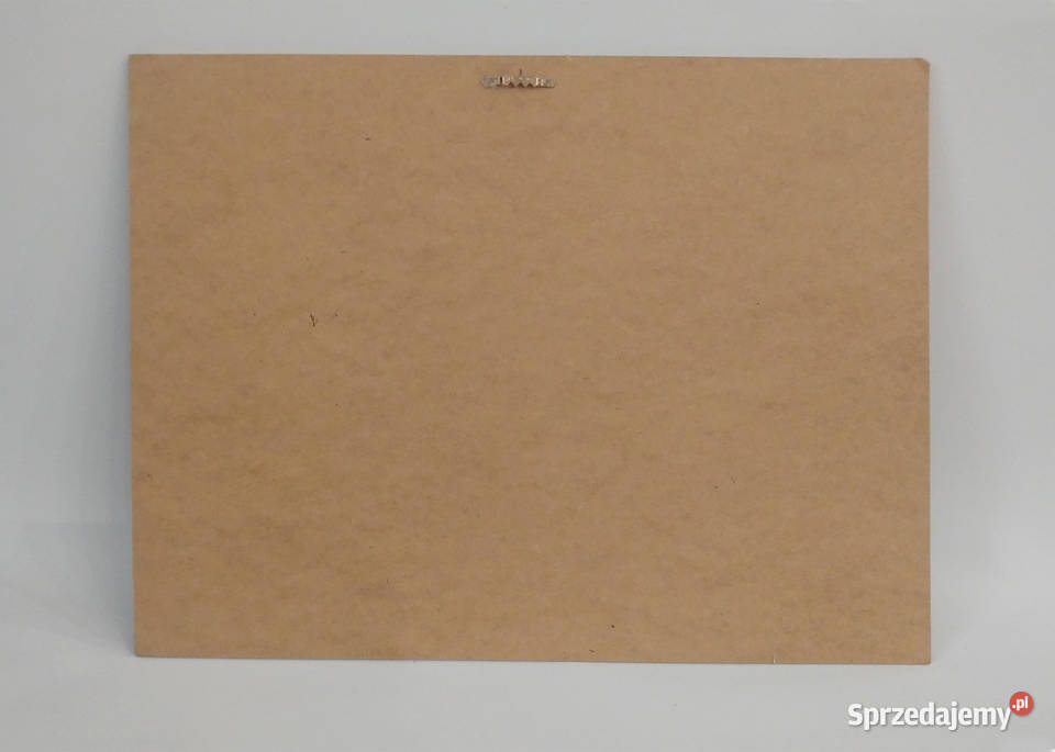 Obrazy na płótnie 21 śląskie Sosnowiec