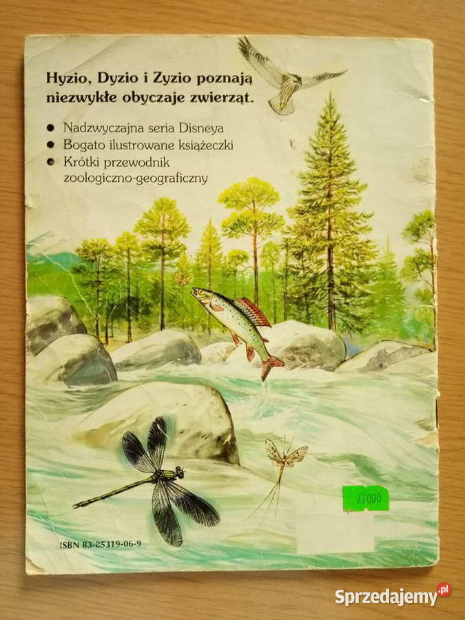 Wyprawa łososiowym szlakiem Kaczor Donald 1993r