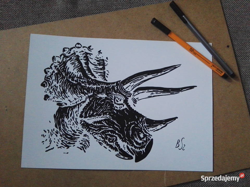 Rysunek triceratops cienkopis A4 250gm2 mazowieckie Warszawa