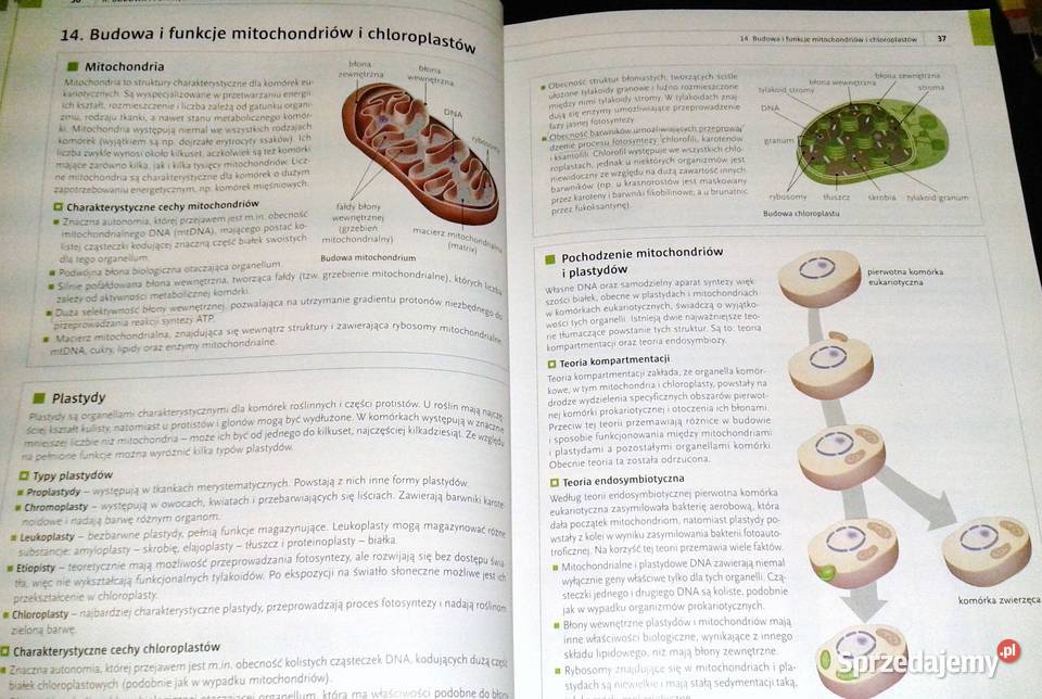 Biologia Repetytorium matura Zakres rozszerzony