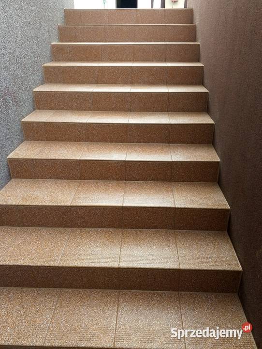 Wynajem minikoparki usługi remontowe Września