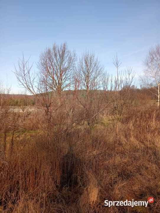 Sprzedam działkę budowlaną śląskie Ludwinów