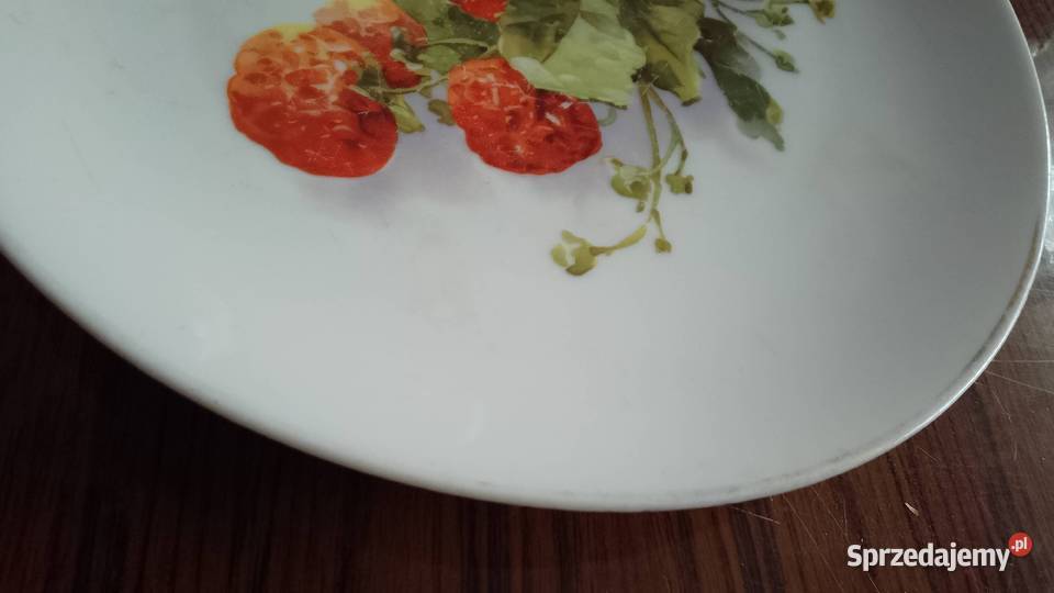 Talerz Bavaria Thomas kujawsko-pomorskie Nakło nad Notecią