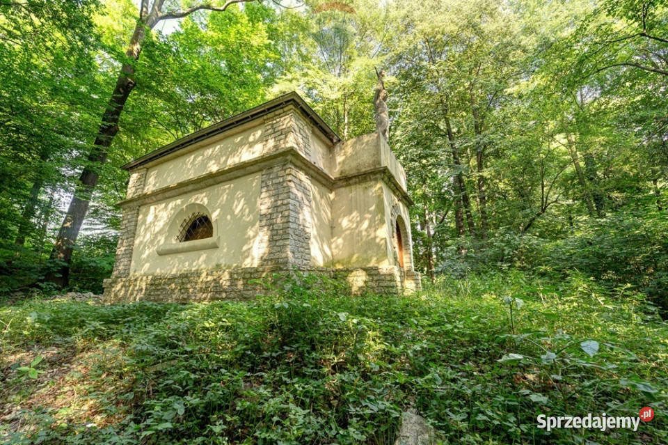 Zapisz się na kartach historii rodziny Szembeków Poręba Żegoty sprzedam