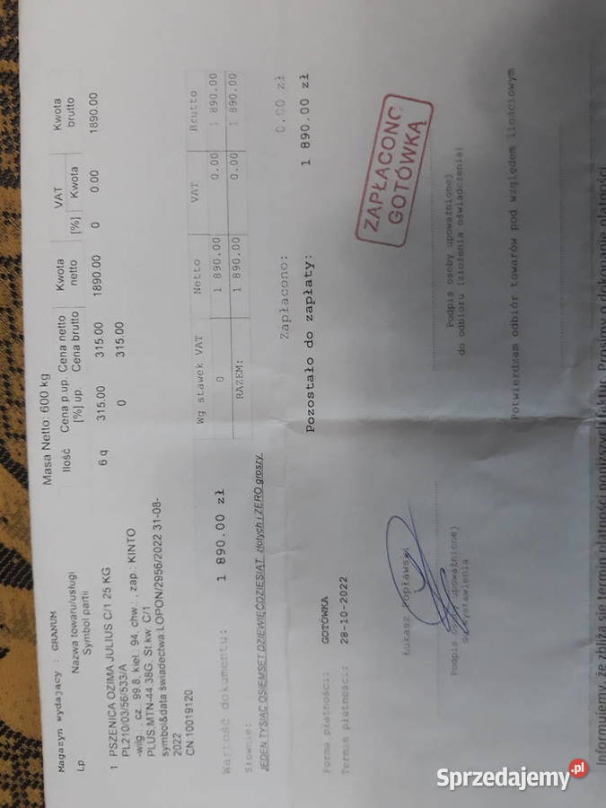 Pszenica ozima Julius Szadek sprzedam