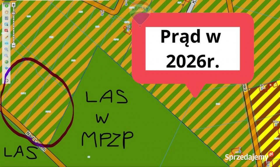 Działki prawdziwym lesie pod duży dom Siestrzeń