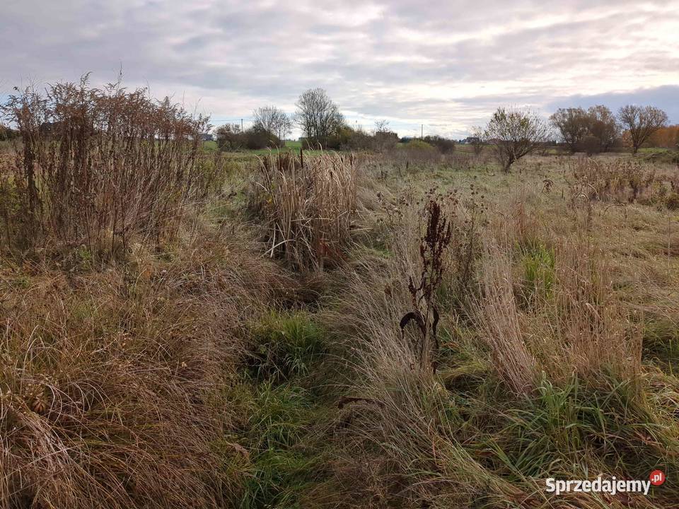 Nieruchomość niezabudowana Syndyka Chodów mazowieckie sprzedam