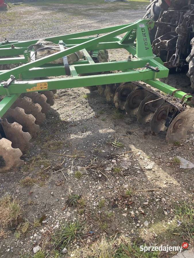 Brona Talerzowa Karol lubelskie Tomaszów Lubelski