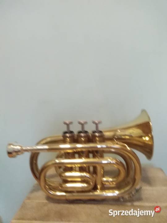 Trąbka kieszonkowa blaszane Kraków