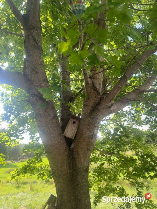 Przezmark działka 2038 m jeziora i lasów 34.5m