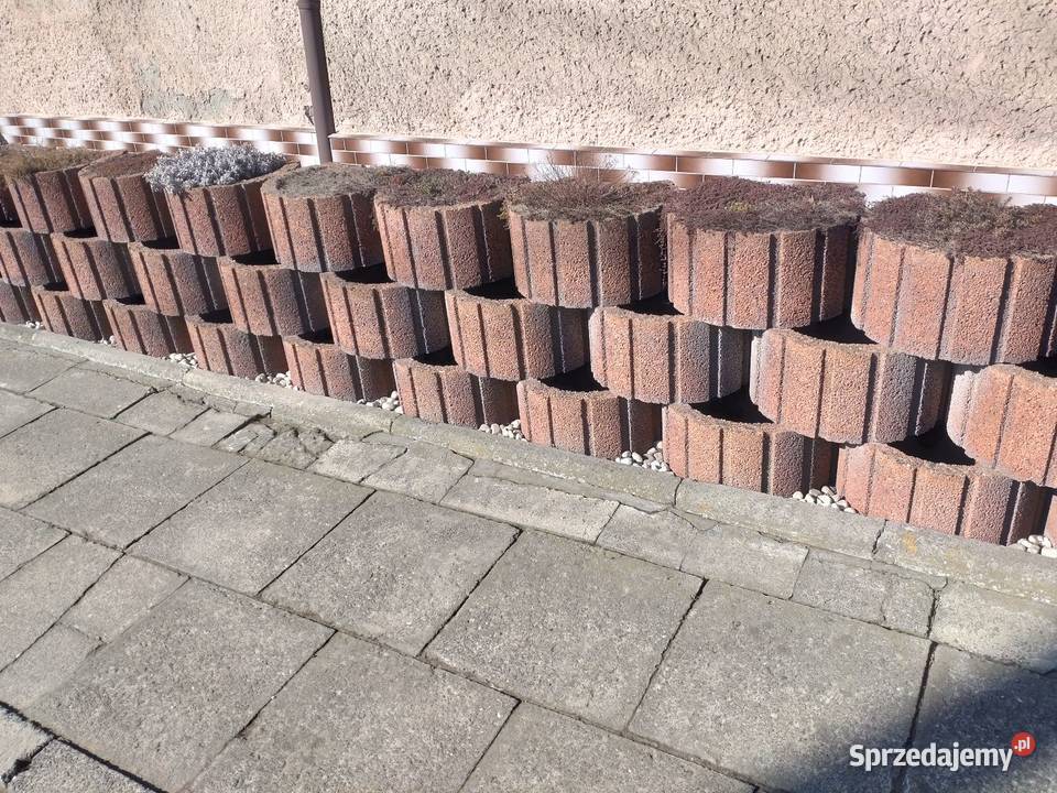 Gazon czerwony opolskie Kędzierzyn-Koźle