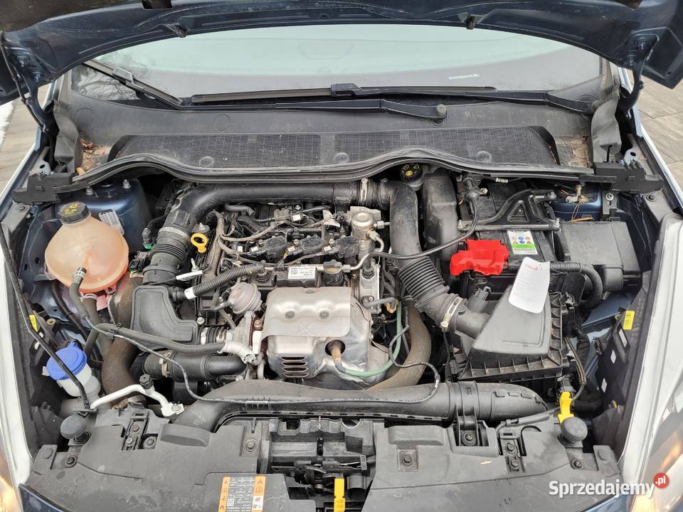 Ford Fiesta Mk8 Duża Nawigacja Tempomat Asystent Gniewczyna Łańcucka