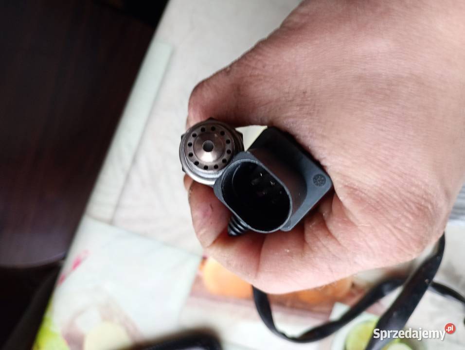 Cześć kujawsko-pomorskie