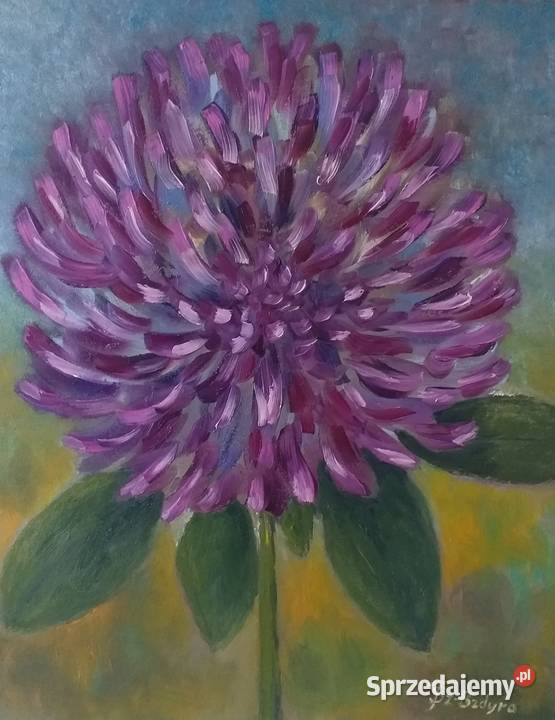 Obraz olejny Koniczyna wielokolorowy Lublin