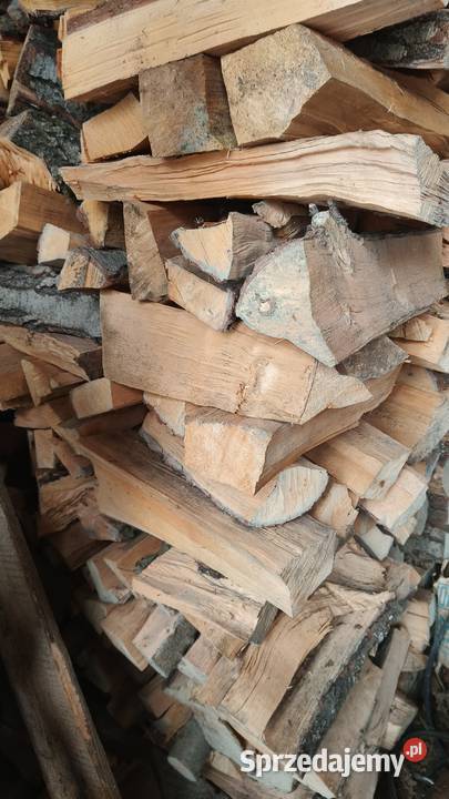 Drewno opałowe olchowe mazowieckie Pionki