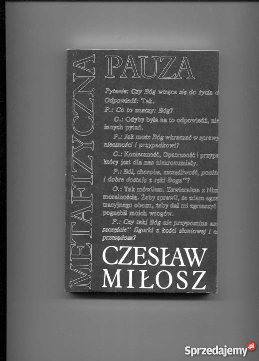 Metafizyczna pauza Szczecin