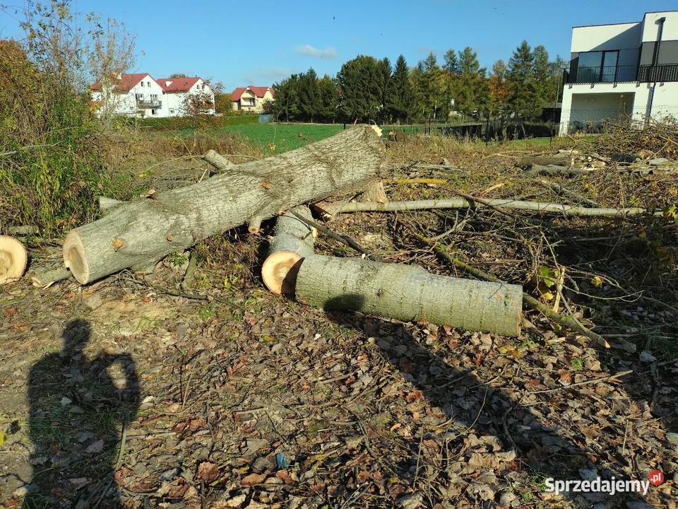 Drzewo opałowe Opał