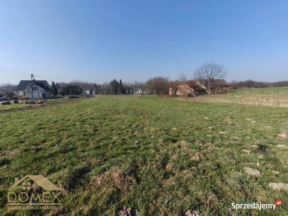 sprzedaży gruntu Rzuchów 4811m2 sprzedam