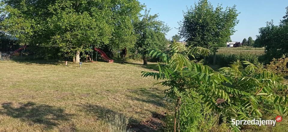 Duża działka ROD Rydzyna Sprzedaż wielkopolskie