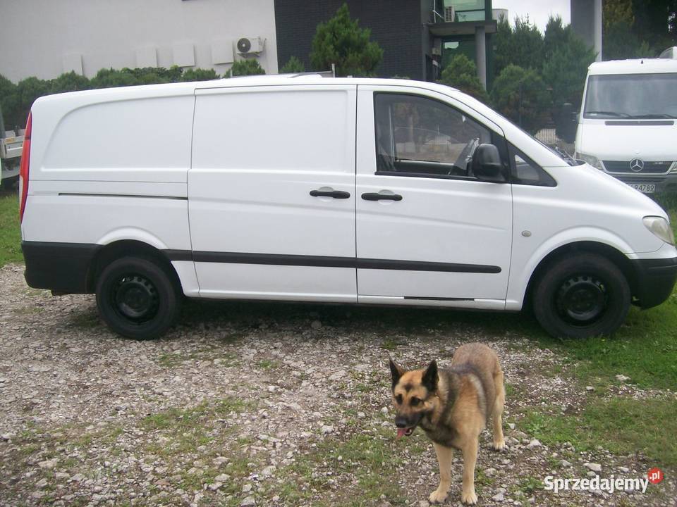 VITO Ładny Long Długi Łask