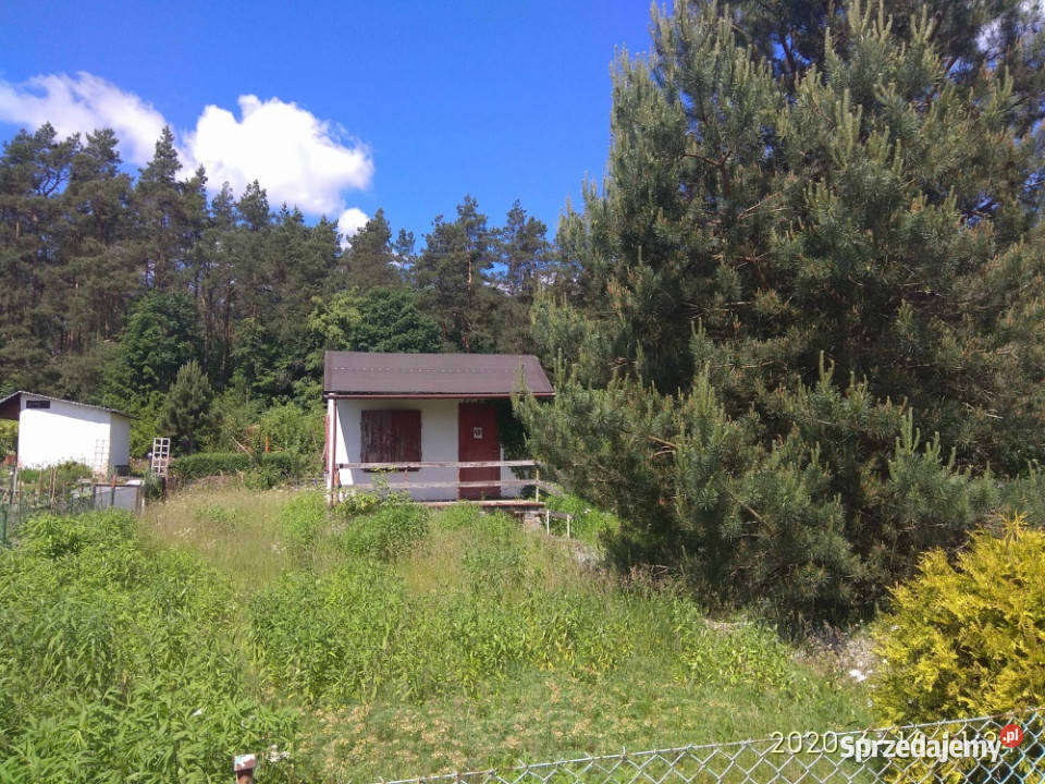Mazury Domek rekreacyjny ROD w Lidzbarku Welskim Sprzedaż warmińsko-mazurskie Lidzbark
