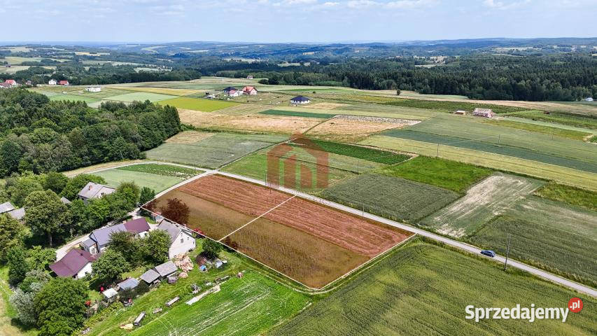sprzedaży gruntu 2300m2 Broniszów Grunty i działki